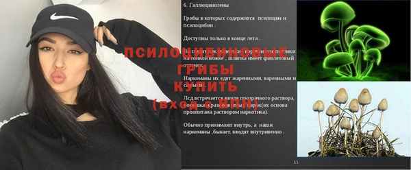 бутират Алзамай