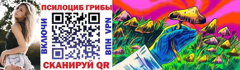 где найти наркотики  Карабулак  ссылка на мегу зеркало  Псилоцибиновые грибы MAGIC MUSHROOMS 