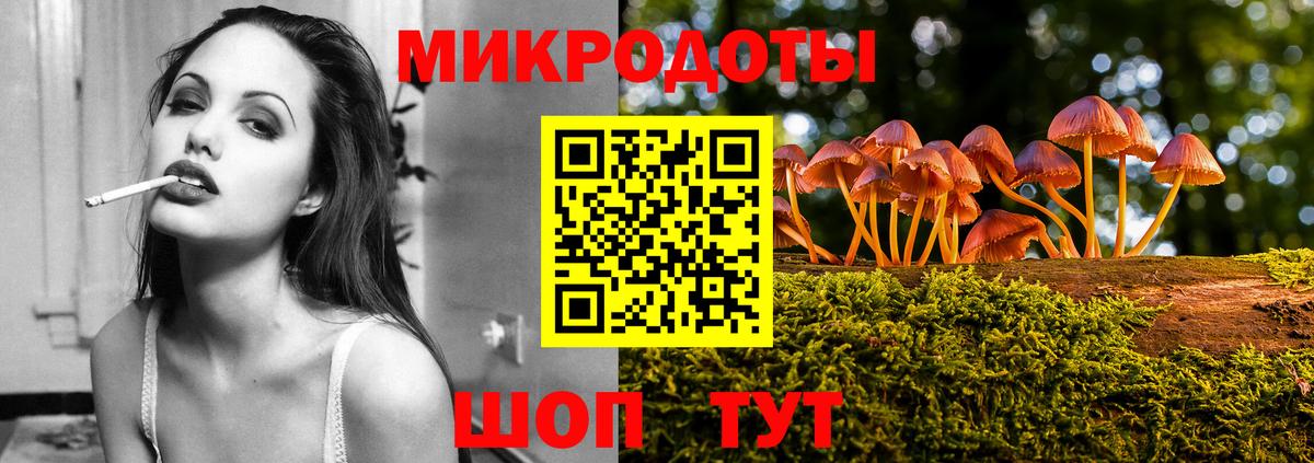 цена наркотик  Вход с VPN  Карабулак  Галлюциногенные грибы Magic Shrooms 